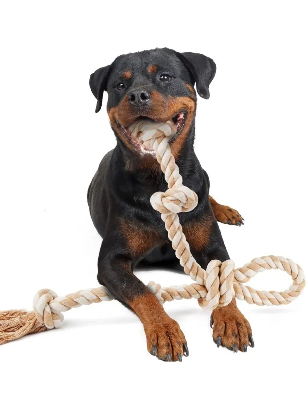 Durable Tug of War Dog Rope Toys for Large Dogs - Tough Chew Playtime Fun